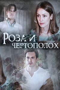 Смотреть сериал Роза и чертополох